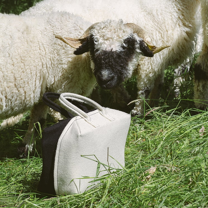 0Kcal Bag - Blacknose